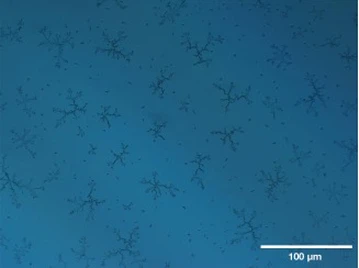 Protect Laser Optics From The Dangers Of UV Damage-1 Protect Laser Optics From The Dangers Of UV Damage-1