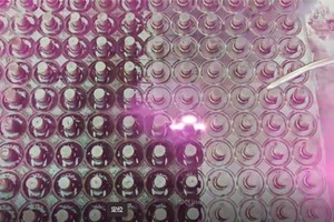 sdqylaser cleaning 2 sdqylaser cleaning 2